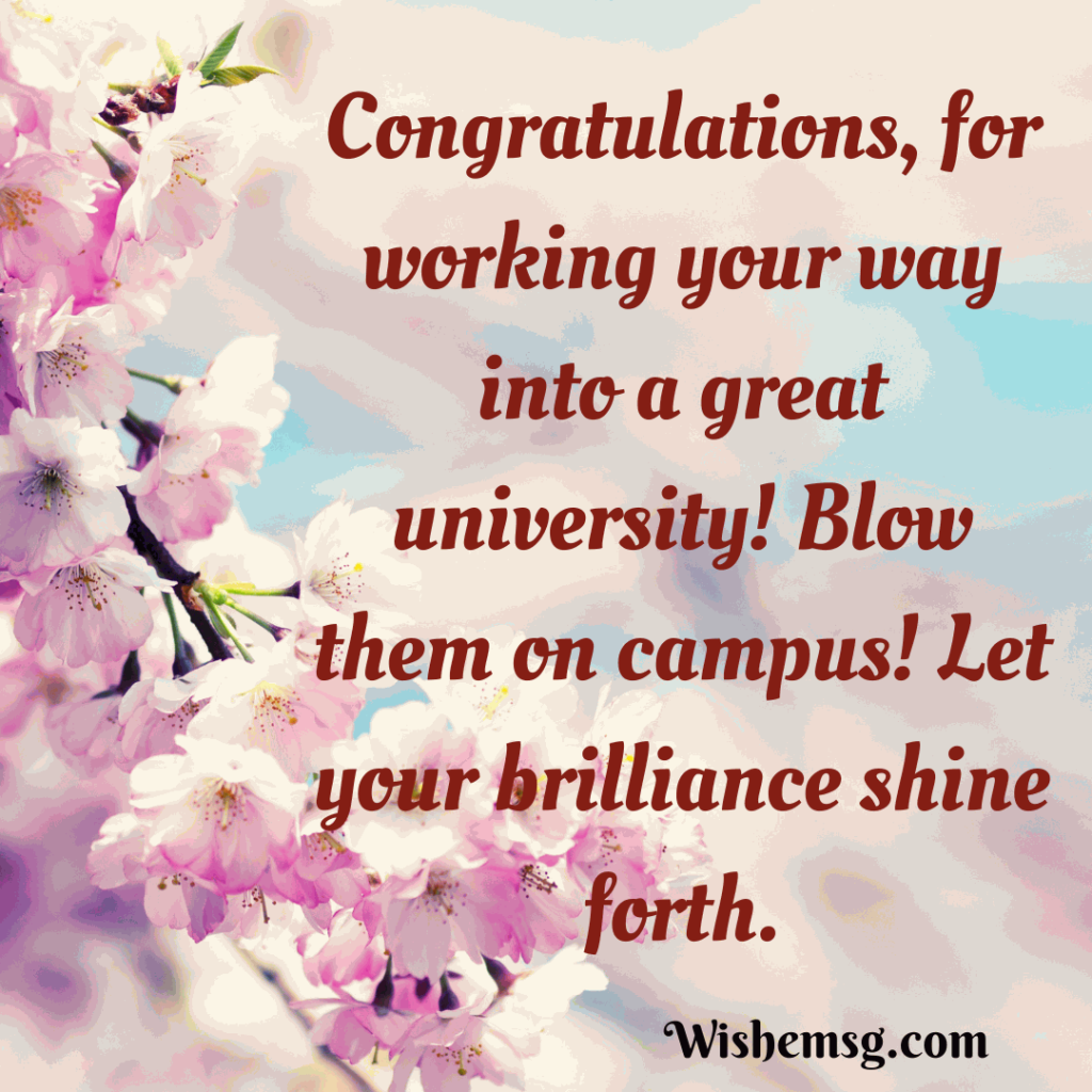 Best Wishes For College
