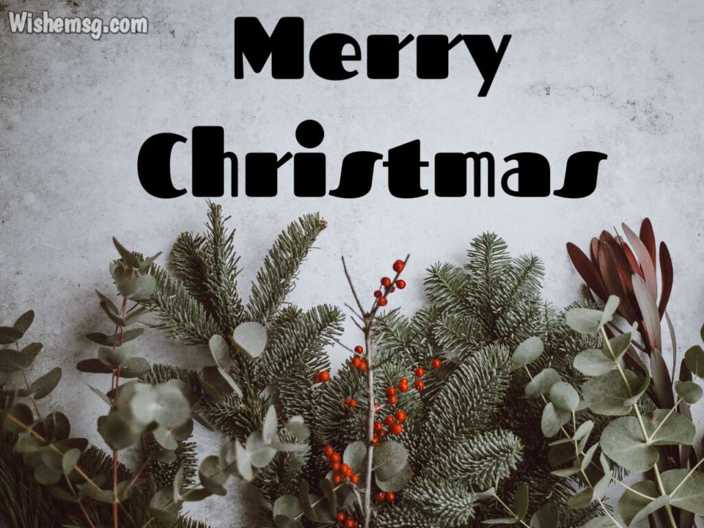 Merry Christmas Wishes