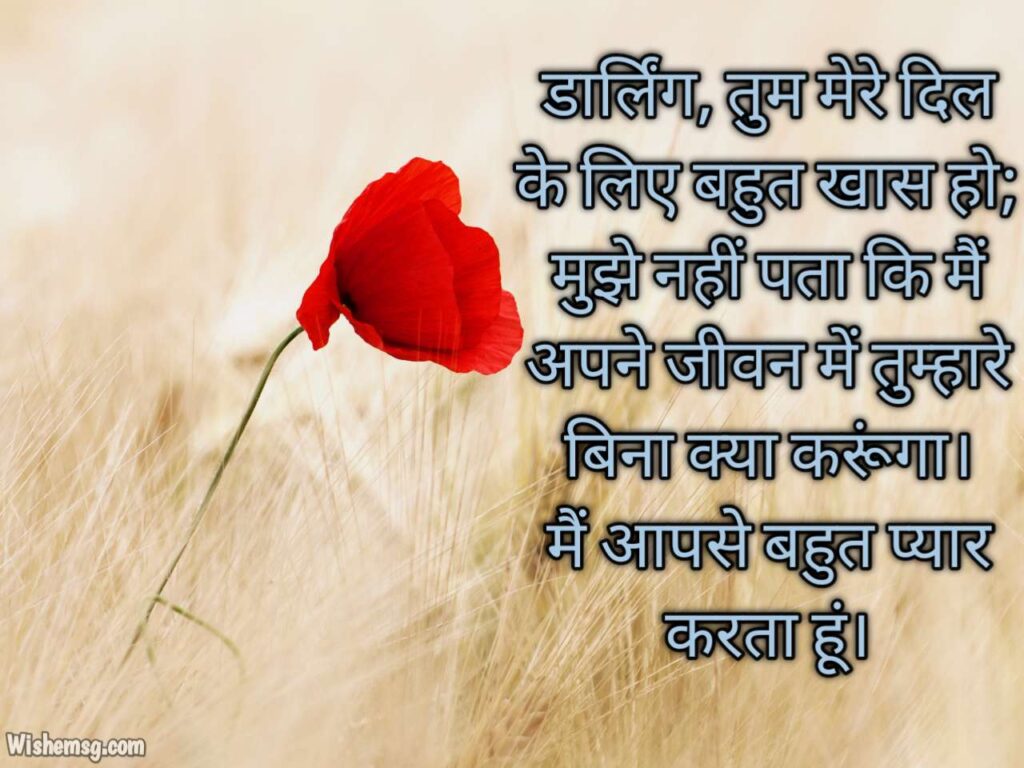 Love Messages For Girlfriend In Hindi