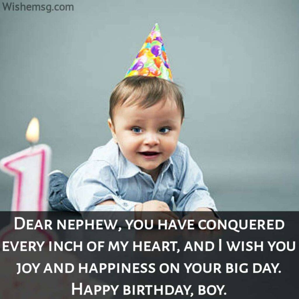 Nephew Birthday Quotes From Aunt