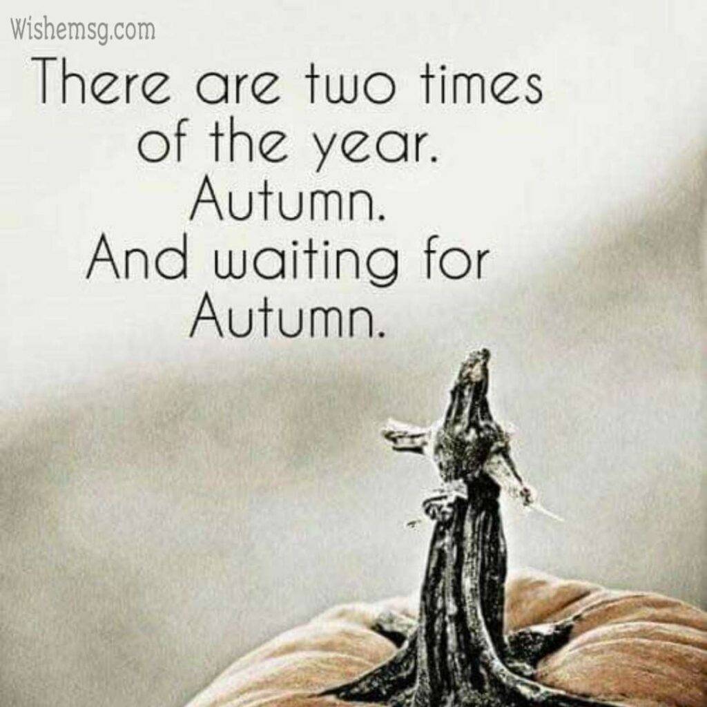 Autumn Equinox Wishes