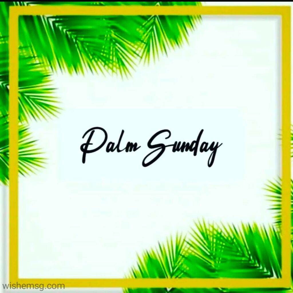 Happy Palm Sunday 