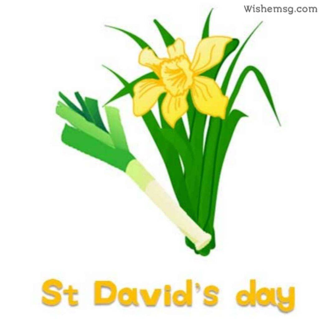 Happy ST David's Day Wishes