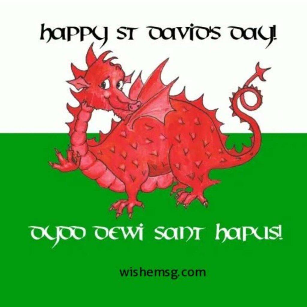 Happy ST David's Day Wishes