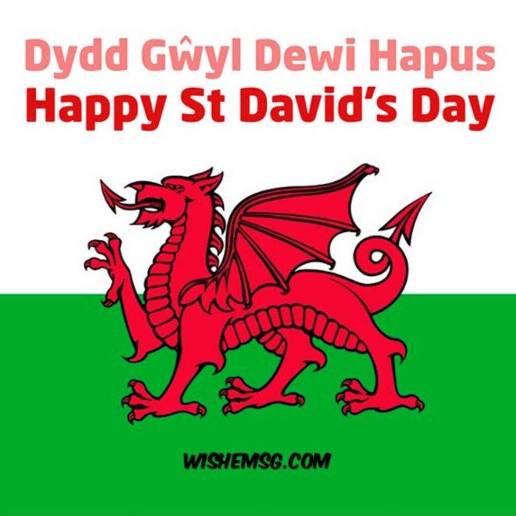 Happy ST David's Day Wishes