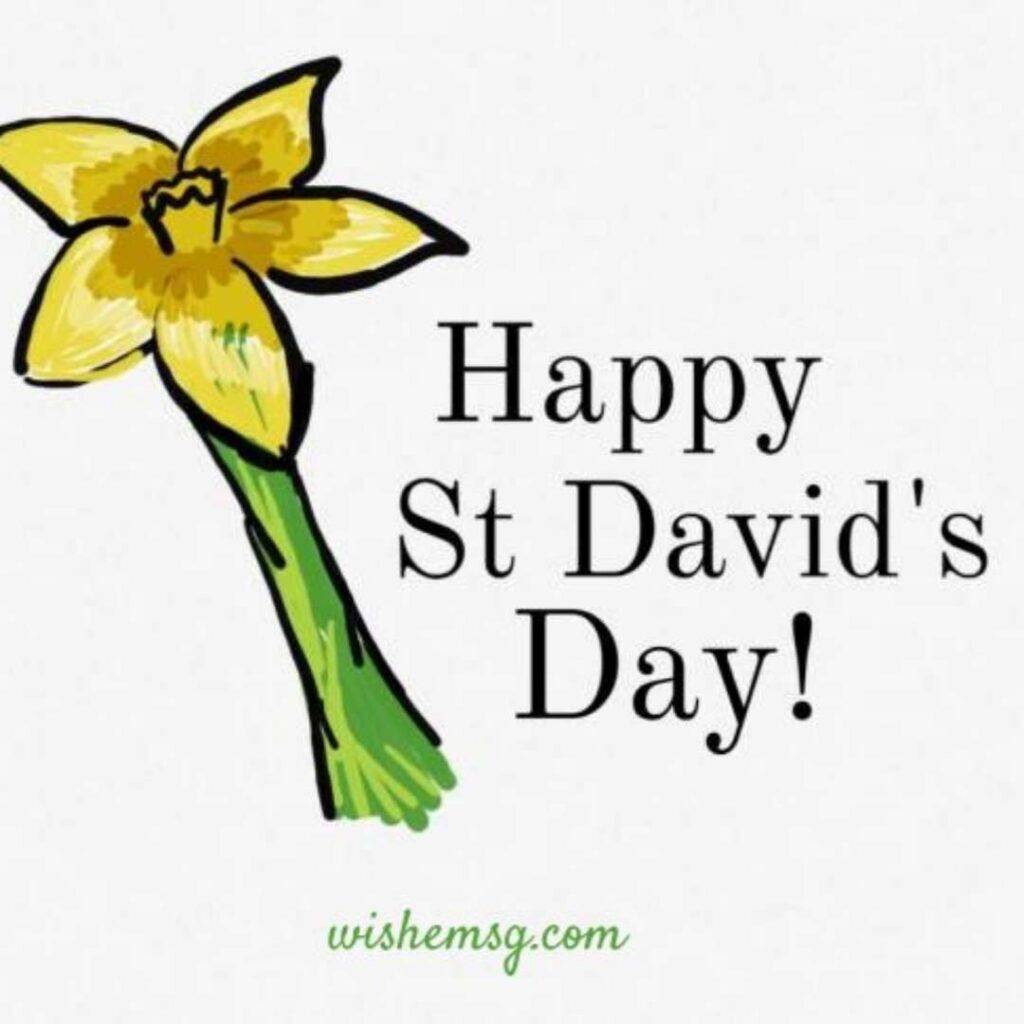 Happy ST David's Day Wishes