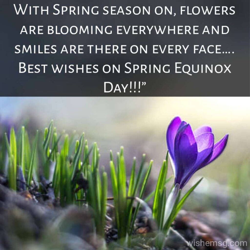 Happy Spring Equinox Quotes