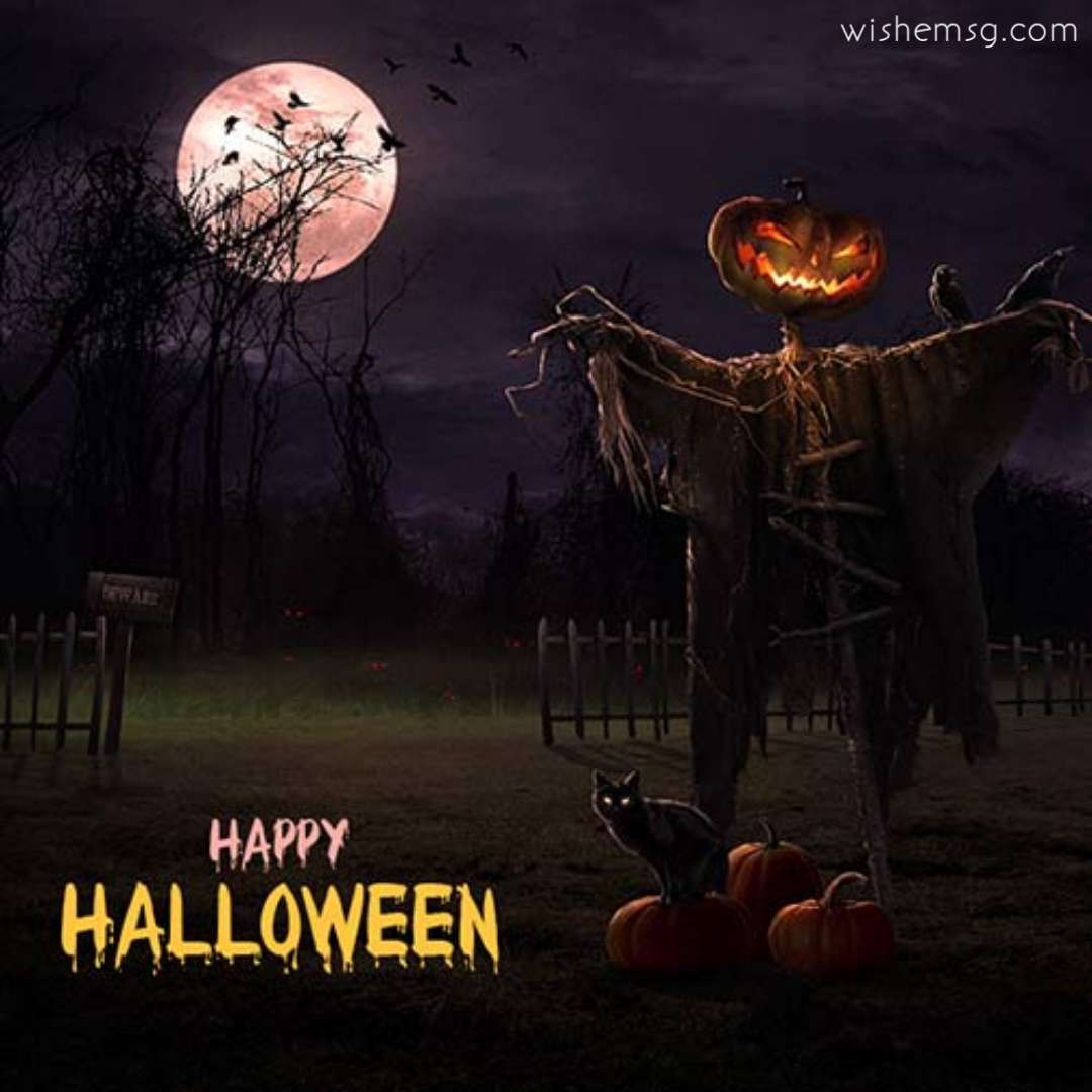 200+ Top Halloween Wishes Quotes Images 2024 - Wishemsg.Com