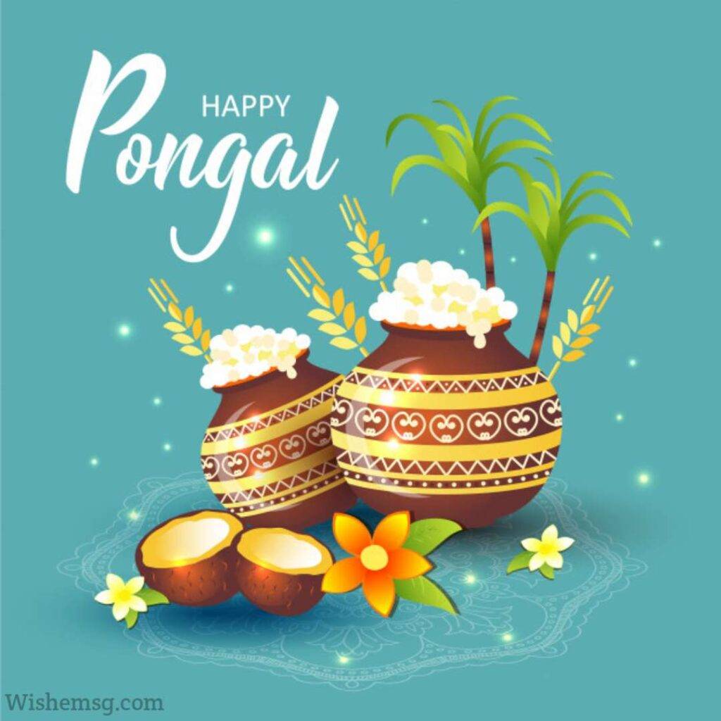 Happy Pongal Wishes Quotes Images