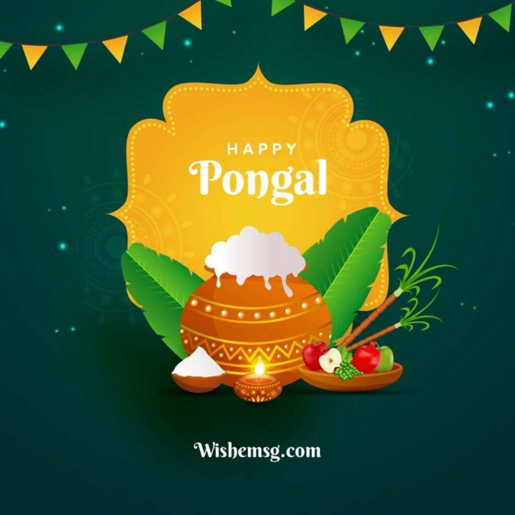 Happy Pongal Wishes Quotes Images