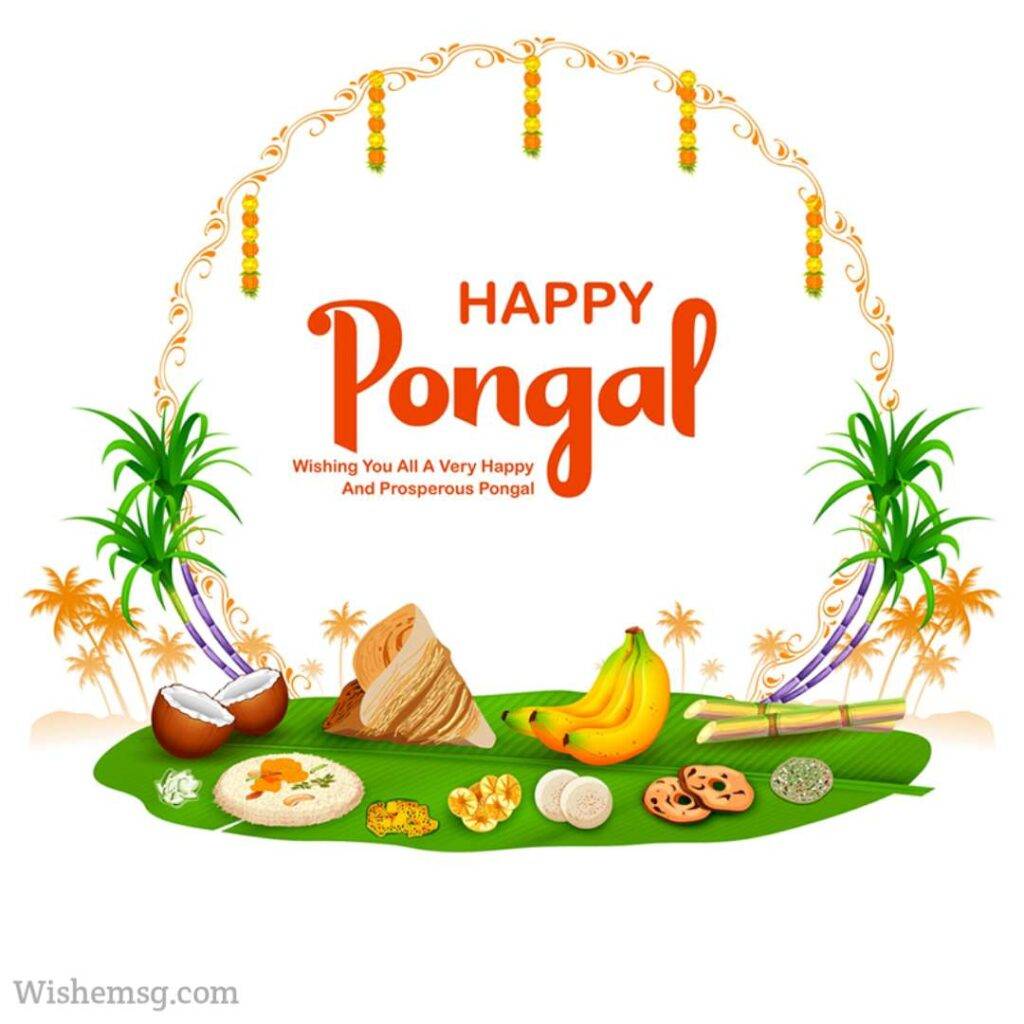 Happy Pongal Wishes Quotes Images