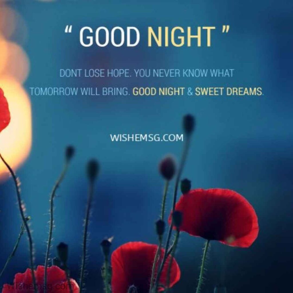 Good Night Sweet dreams