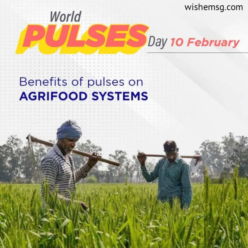 Happy World Pulses Day Wishes Quotes Images