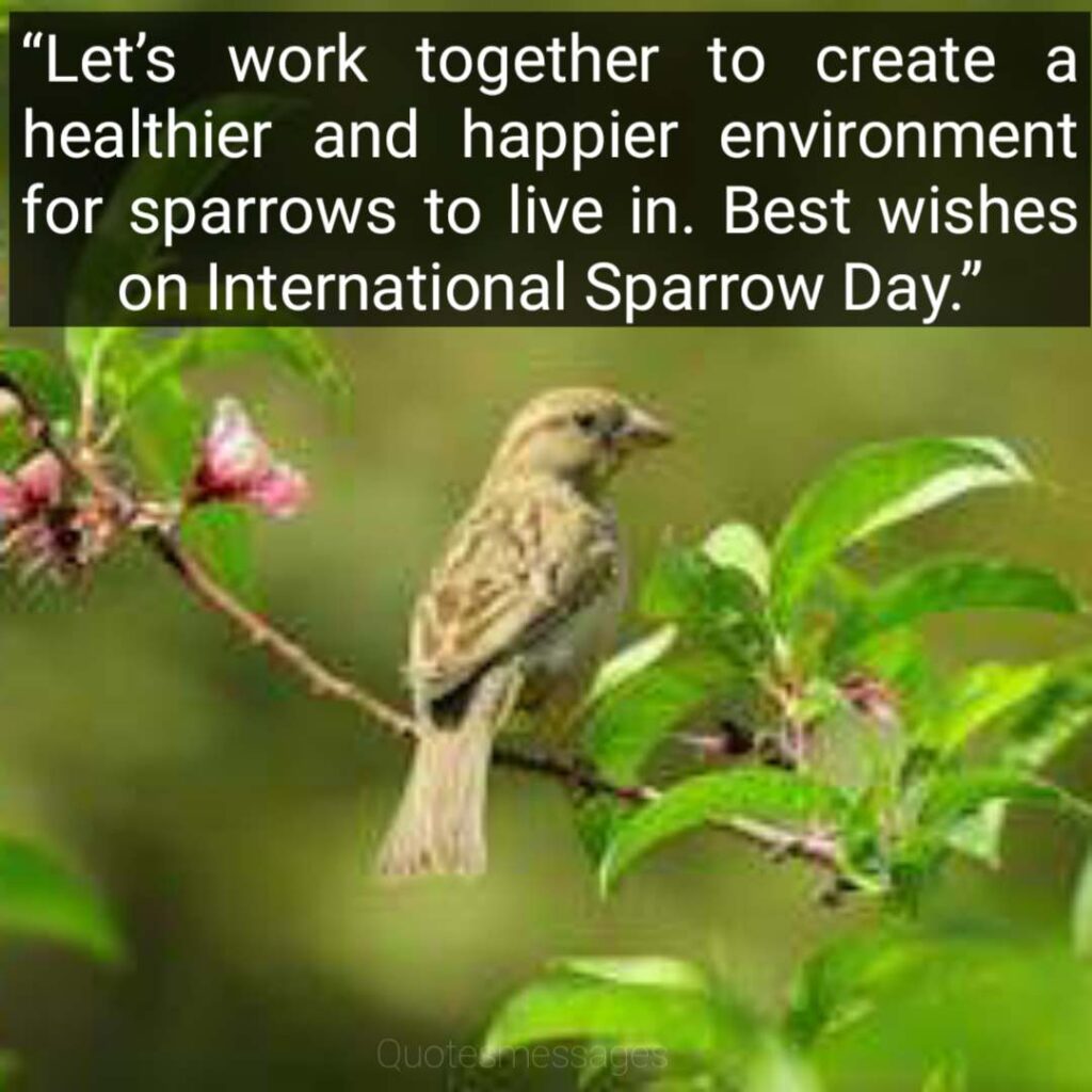 Happy World sparrow quotes