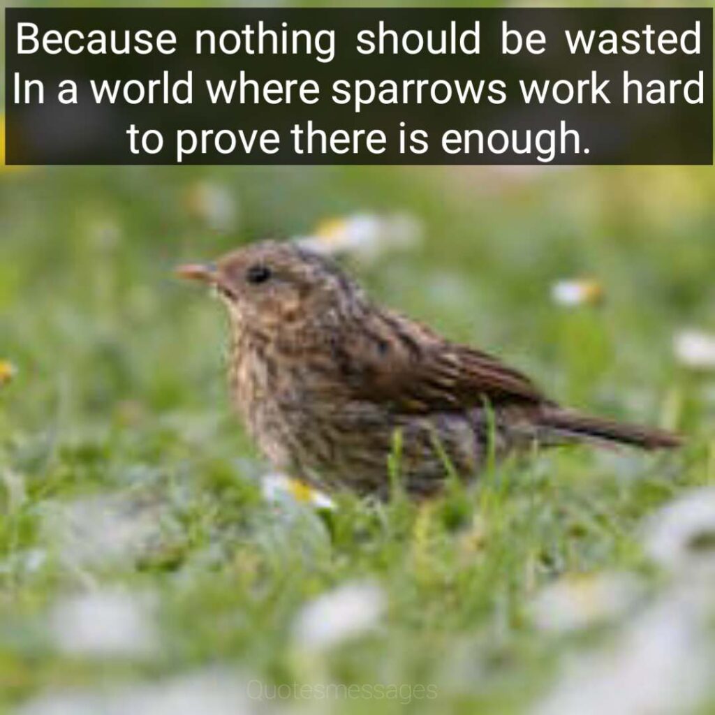 Happy World sparrow quotes