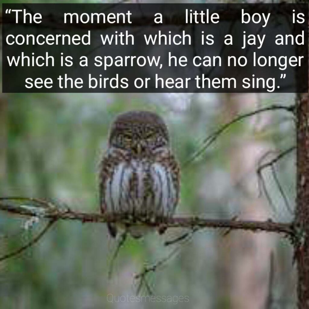 Happy World sparrow quotes