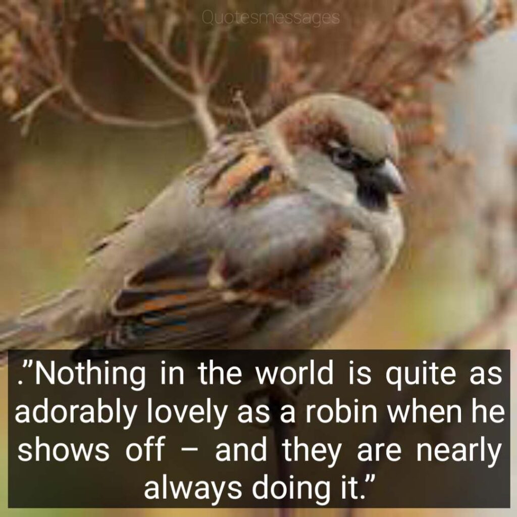 Happy World sparrow quotes